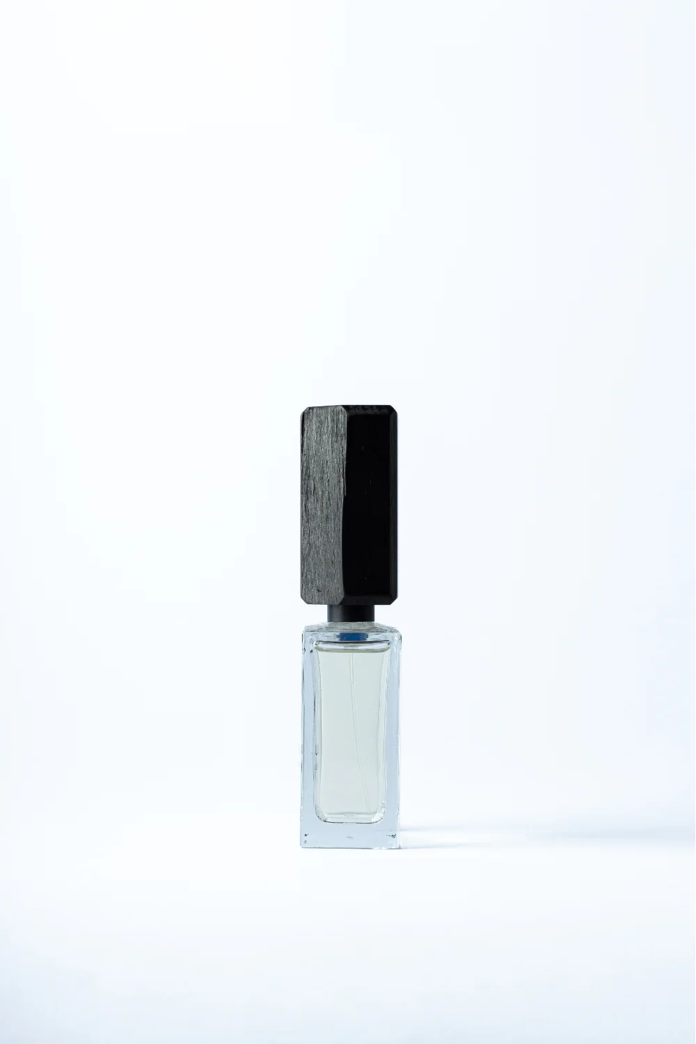 Rosa Nigra - Image 7